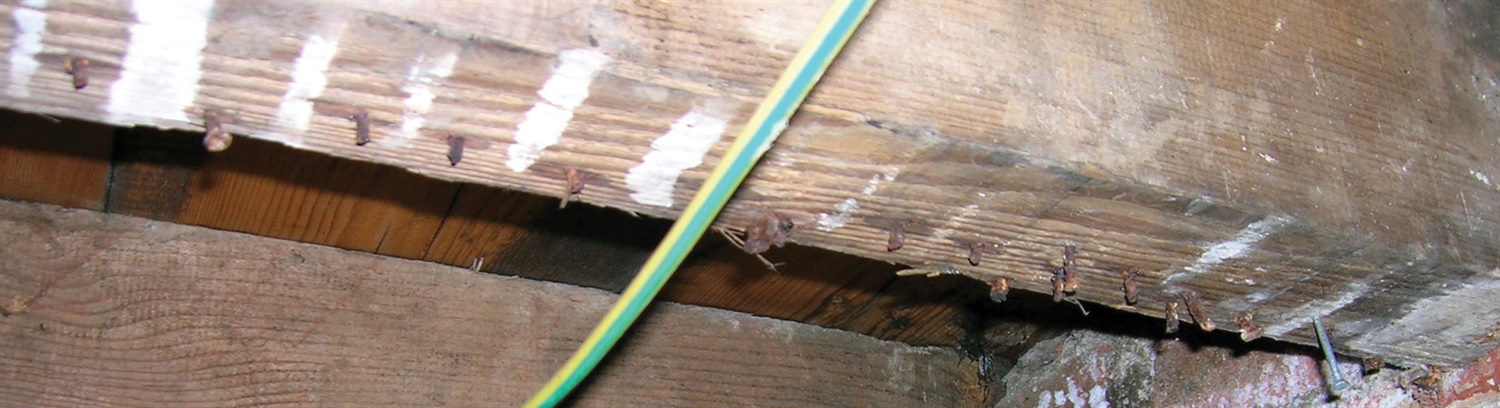 Timber repairs Banner - Property Care Association